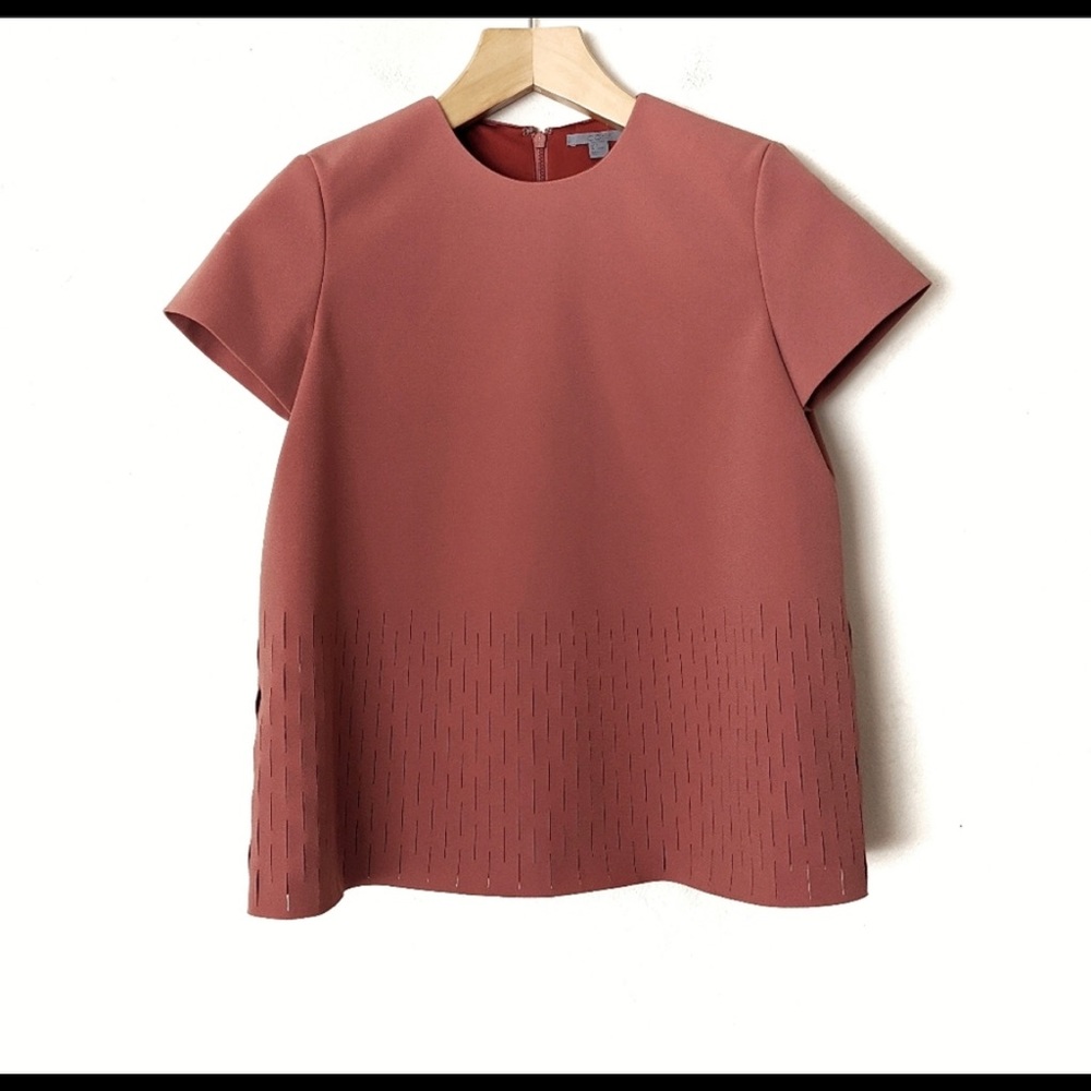 Minimalist COS boxy top